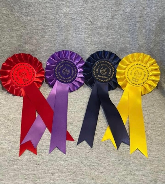 Wapley stables rosettes for riding levels