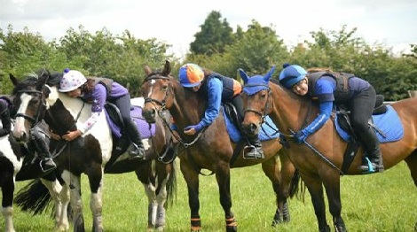 Wapley canter banter group