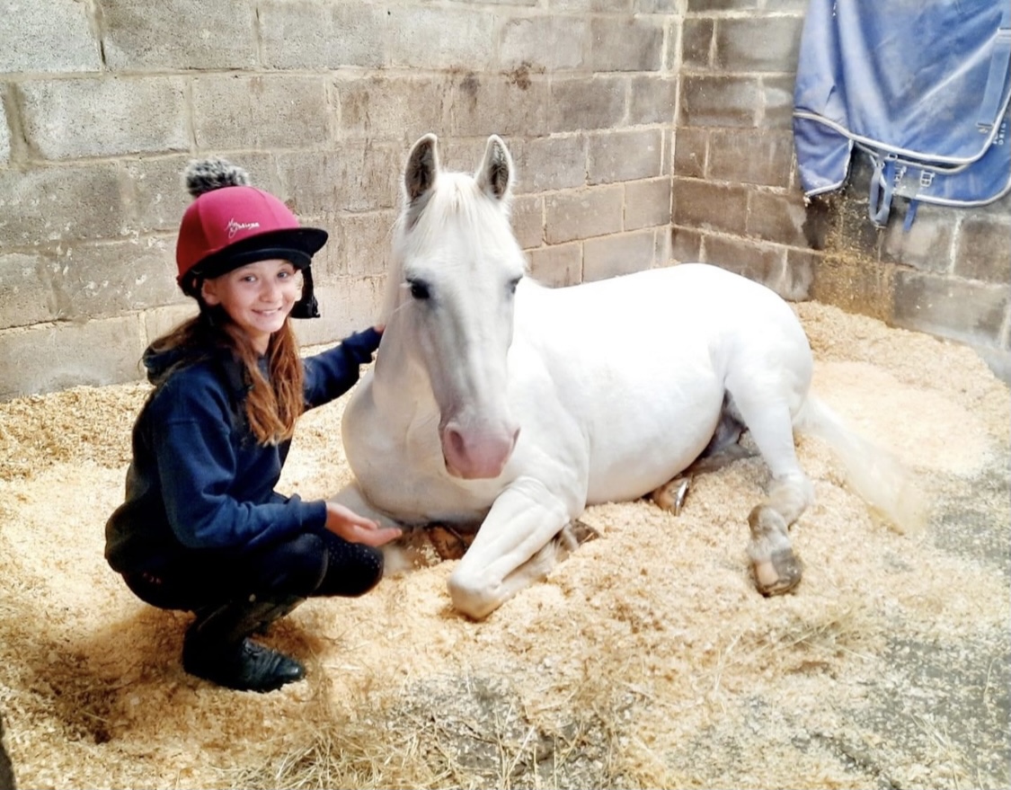 Wapley stables pony club picture bristol