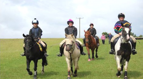 Wapley stables own a pony days