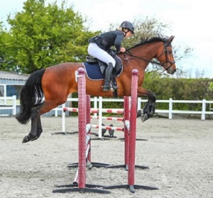 Lucy hewlett jumping wapley stables