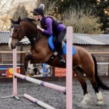 Sophie at Wapley Stables